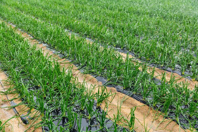 Topsoil Spreading detail